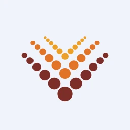 VINSYS