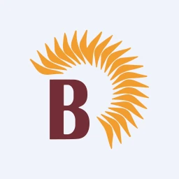 BNRUDY