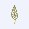 ALKKO
