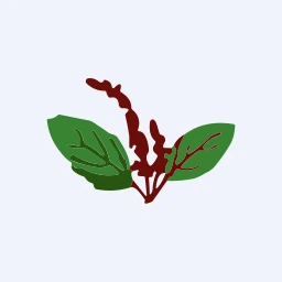 TULASEEBIOE