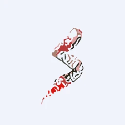 NSRX